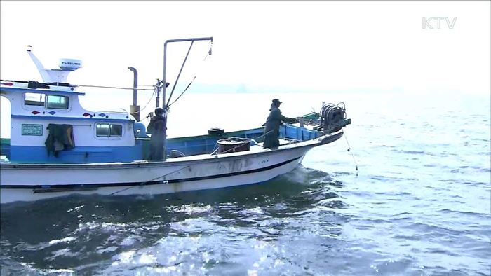 오징어·갈치 등 6천700톤 방출…"수산물 가격 안정"