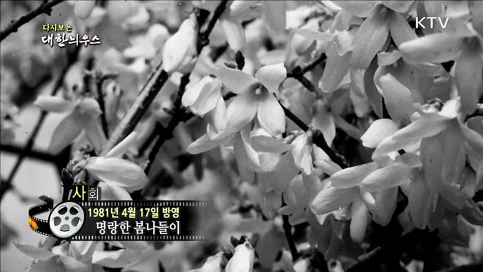 다시보는 대한늬우스 (81.04.17)