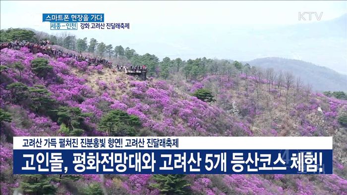 4시& 브리핑 (214회)