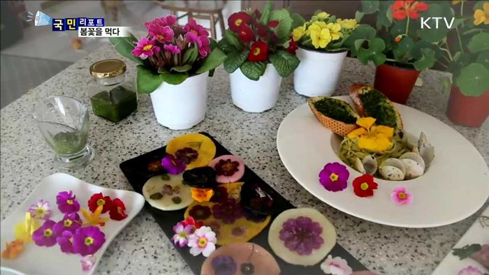 봄꽃 한상차림…봄도 건강도 챙겨요