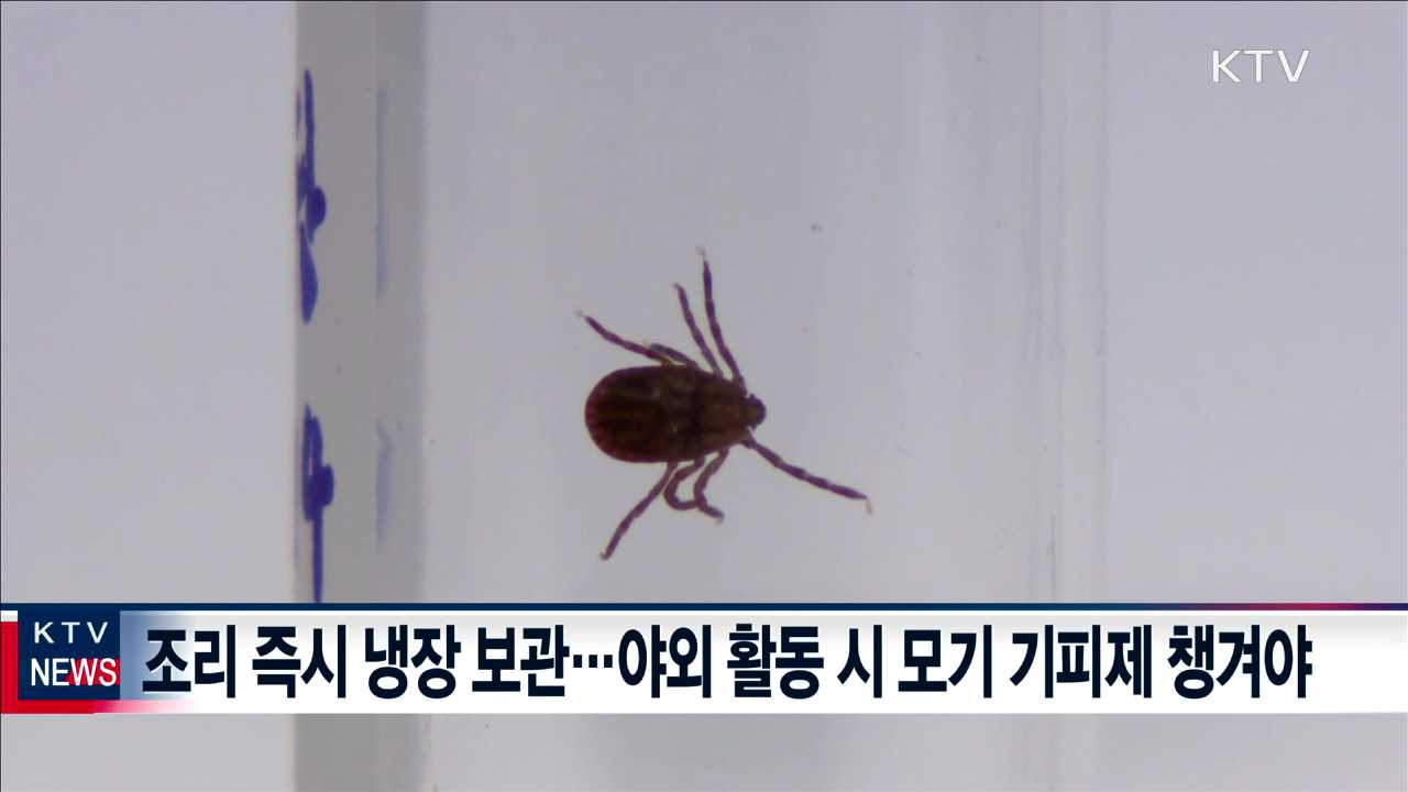 5월 연휴 여행객 증가…"감염병 주의해야"