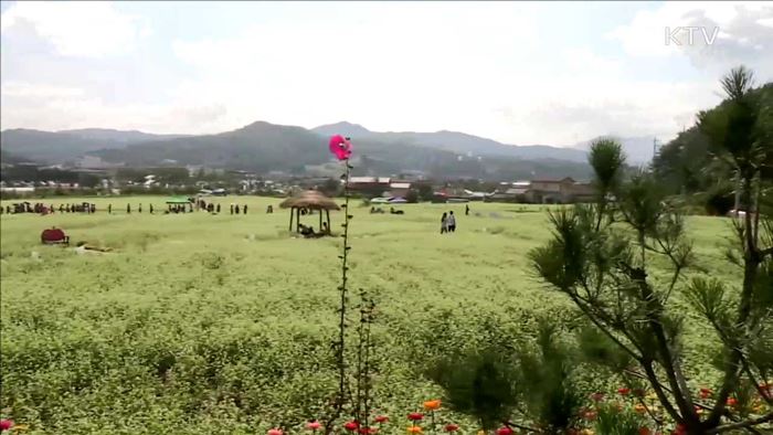 봄 여행주간…'만 원'으로 떠나는 기차여행