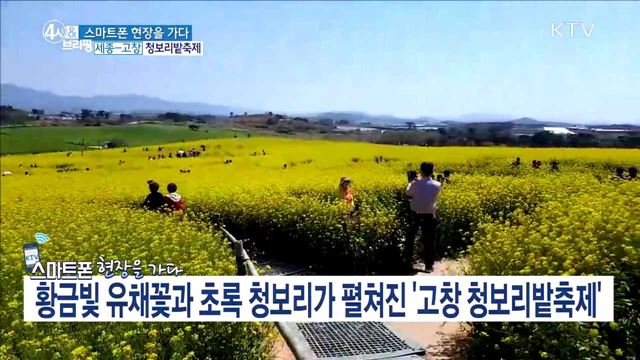 4시& 브리핑 (218회)