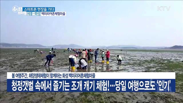 봄 여행주간, 해양생태체험이 함께하는 화성 백미리어촌체험마을