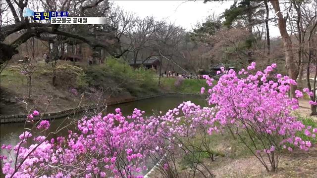 울긋불긋 꽃대궐…고궁 봄 향기 가득