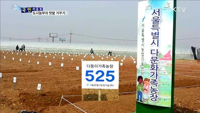 일구는 재미에 수확의 기쁨…텃밭 농사 인기