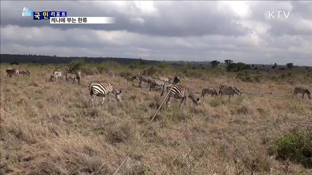 아프리카 케냐에 K-FOOD 알린다