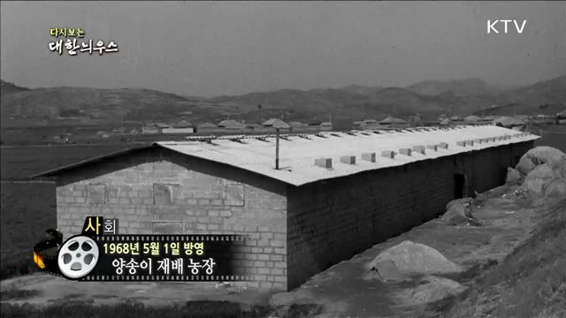 다시보는 대한늬우스 (68.05.01)