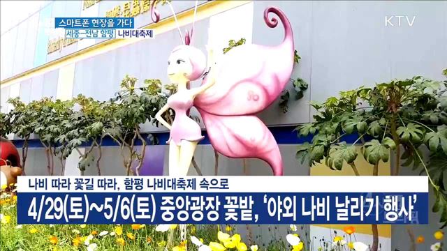 나비 따라 꽃길 따라, 함평 나비대축제 속으로