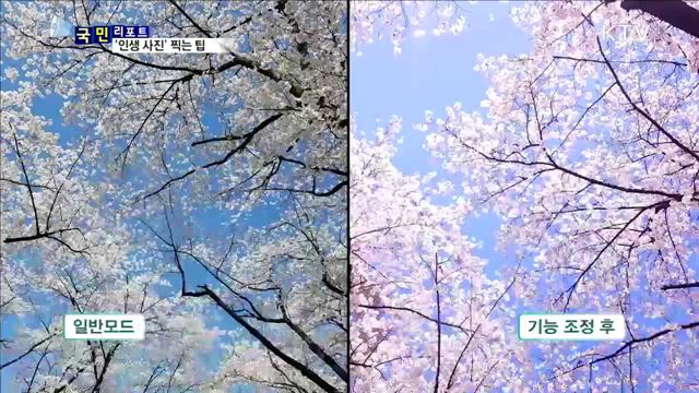 최고의 '인생 사진'…이렇게 찍으세요