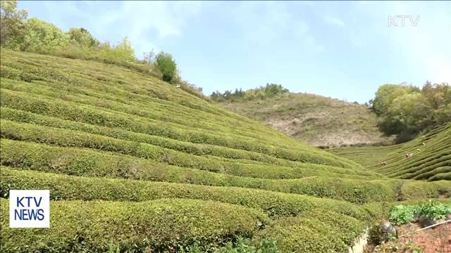 꽃내음 가득한 '봄 여행주간'…어린이날 행사 풍성