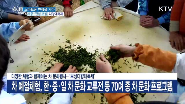 다양한 체험과 함께하는 차 문화행사···'보성다향대축제'