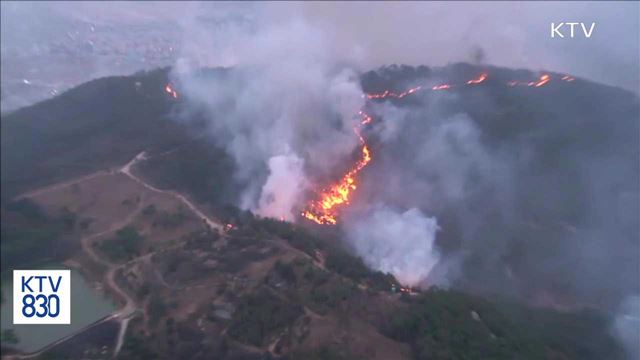 강릉·삼척 산불진화 총력…"인력·장비 총동원"