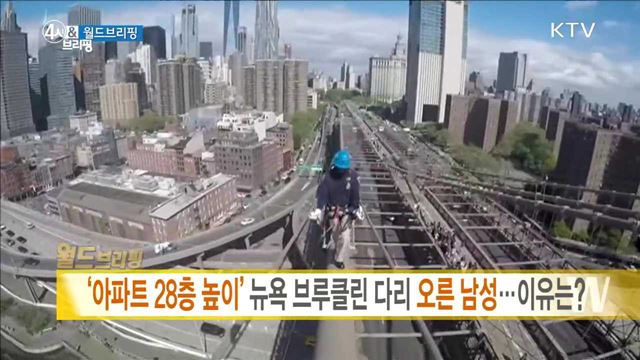 '아파트 28층 높이' 뉴욕 브루클린 다리 오른 남성···이유는? [월드 브리핑]