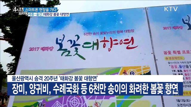 울산광역시 승격 20주년 '태화강 봄꽃 대향연'