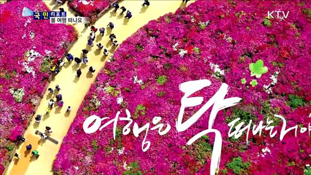 2017 봄 여행주간…만 원으로 떠나는 기차 여행