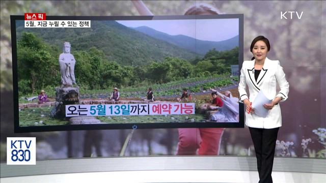 5월, 지금 누릴 수 있는 정책 [뉴스픽]