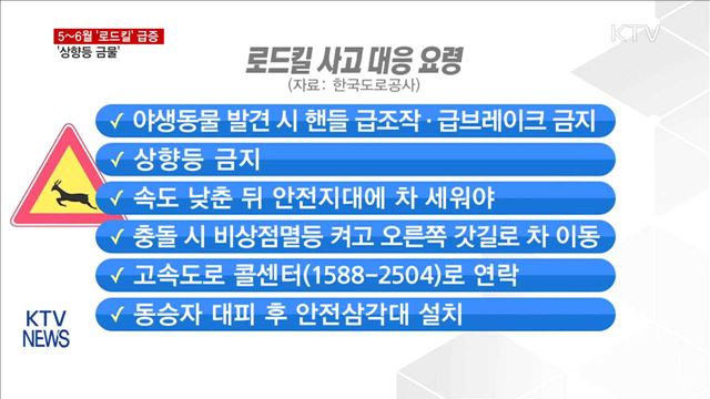 5~6월 야생동물 '로드킬' 급증…'상향등 금물'