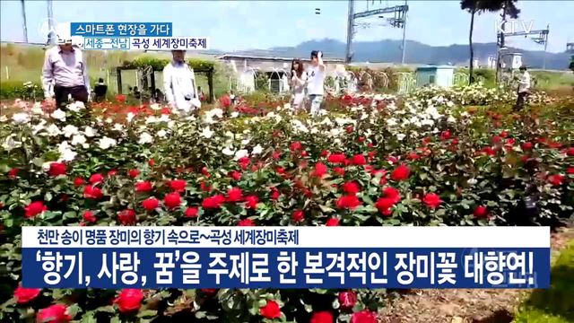 4시& 브리핑 (234회)