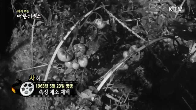 다시보는 대한늬우스 (63.05.23)