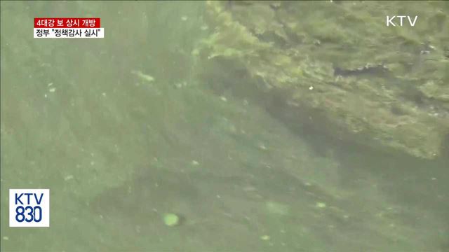 4대강 보 상시 개방…"정책감사 실시"