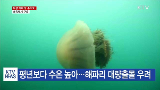 독성 해파리 '주의보'…총력 방제