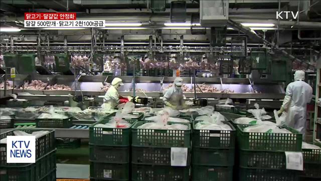 정부, 달걀 500만 개·닭고기 2천100t 공급