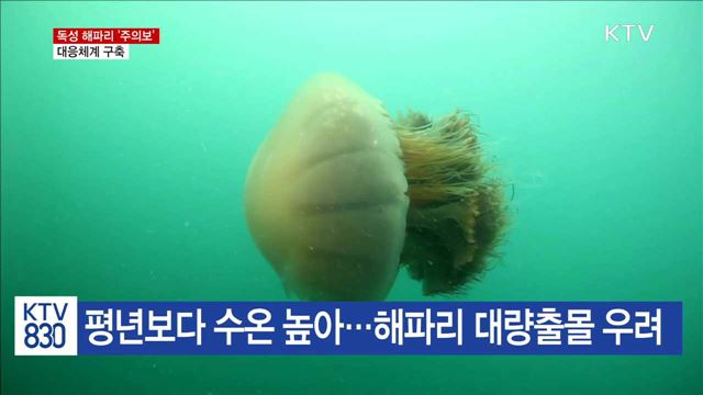 독성 해파리 '주의보'…총력 방제