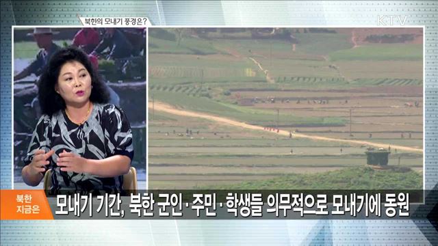 북한의 모내기 풍경은? [북한 지금은]