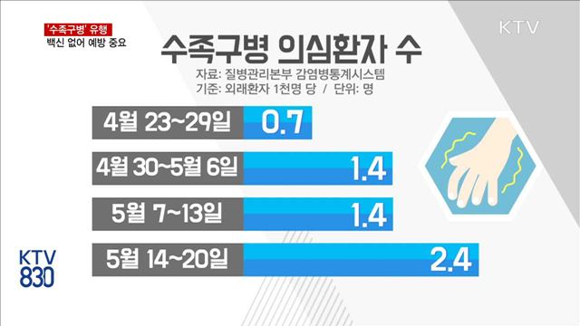 영아 '수족구병' 유행…백신 없어 예방 중요