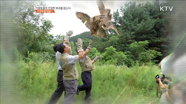 위기의 야생동물 살리는 녹색직업! 야생동물재활사 [사람中心 일자리가 뜬다]