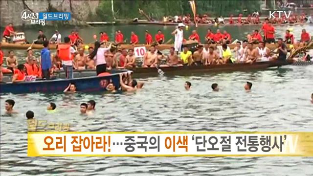 오리 잡아라!···중국의 이색 '단오절 전통행사' [월드 브리핑]