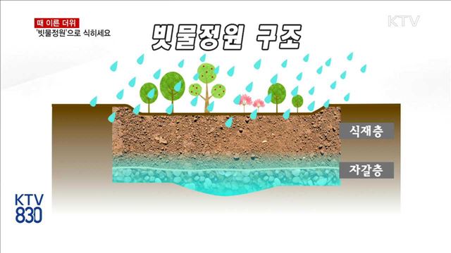 더위 식히고 경관 조성까지…일석이조 '빗물정원'