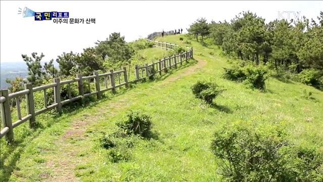 이주의 문화가 산책