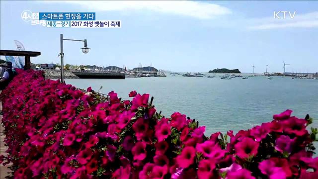 다양한 해상 체험과 함께하는 2017 화성 뱃놀이 축제