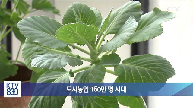 도시농업 160만 명 시대