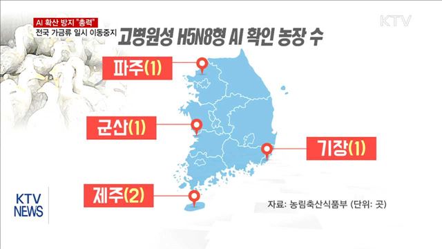 KTV 뉴스 (17시) (626회)