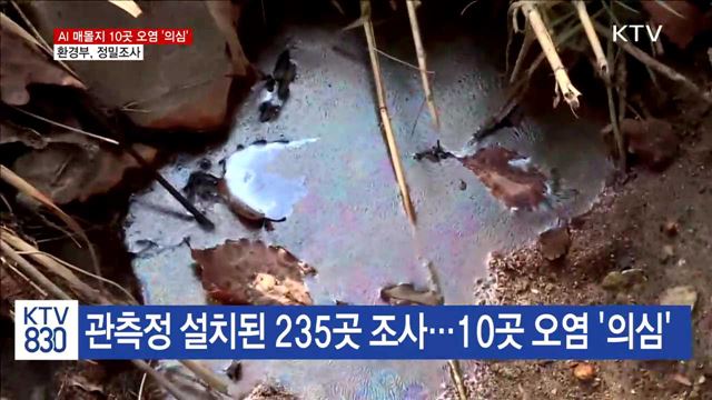 AI 매몰지 10곳 오염 '의심'…환경부, 정밀조사