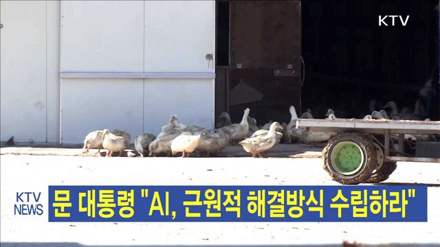 문 대통령 "AI, 근원적 해결방식 수립하라"