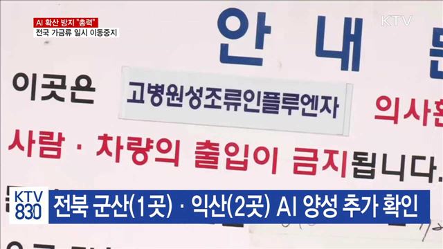 AI 확산 방지…닭·오리 24시간 '이동중지'