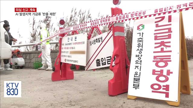 오늘부터 AI 발생지역 가금류 '반출 제한'