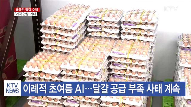 태국산 달걀 이르면 다음 주 수입…'가격 안정' 기대