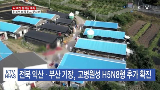 부산·익산 고병원성 확진…전북서 의심 신고 잇따라