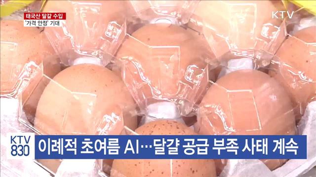 태국산 달걀 이르면 다음 주 수입…'가격 안정' 기대
