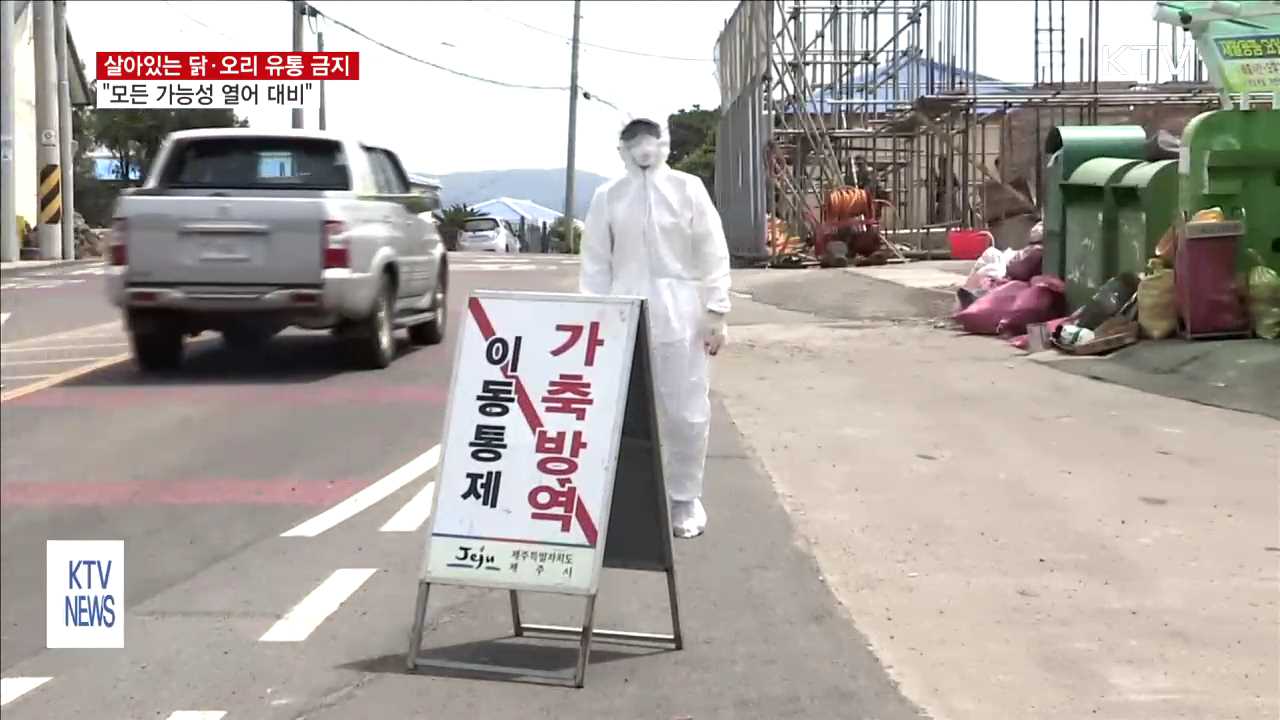 오늘 자정부터 살아있는 닭·오리 유통 전면금지