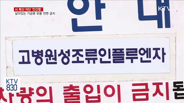 2주 동안 살아있는 닭·오리 유통 '전면 금지'