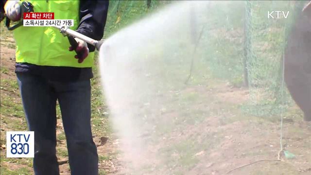 AI 확산 차단… 거점소독시설 24시간 가동