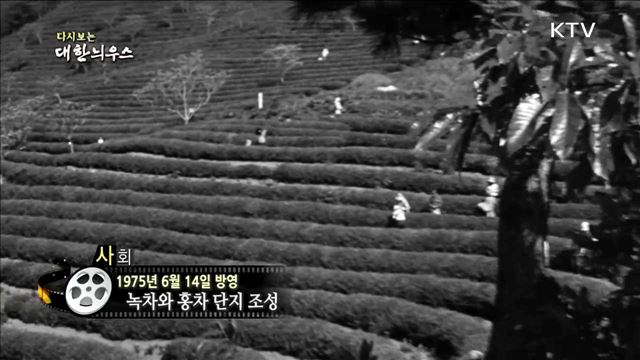 다시보는 대한늬우스 (75.06.14)