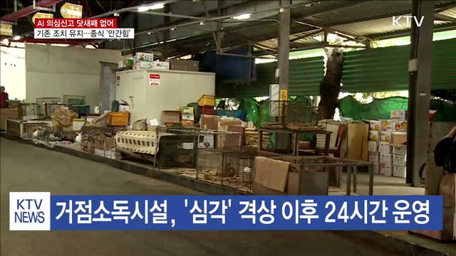 AI 추가 의심신고 없어…'종식' 기대감