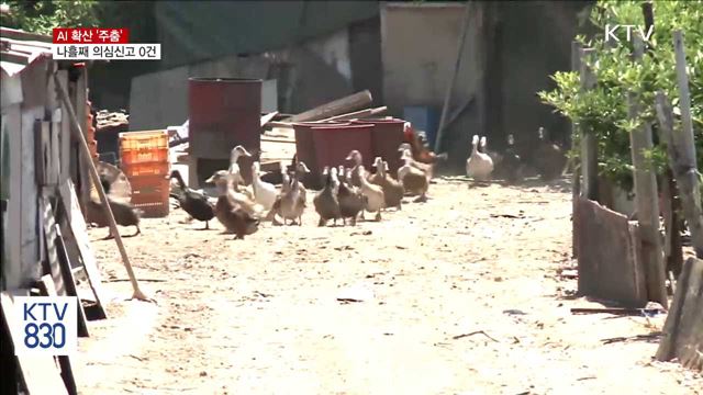 AI 확산 주춤…나흘째 의심신고 0건